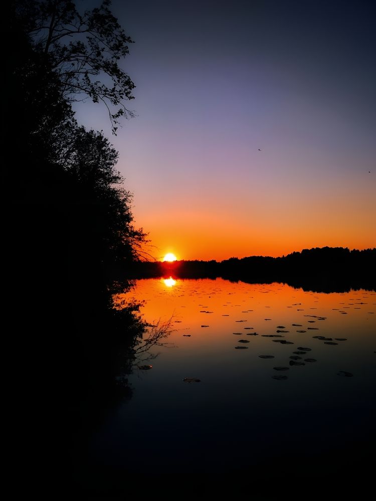 Photograph by Любовь Коровацкая