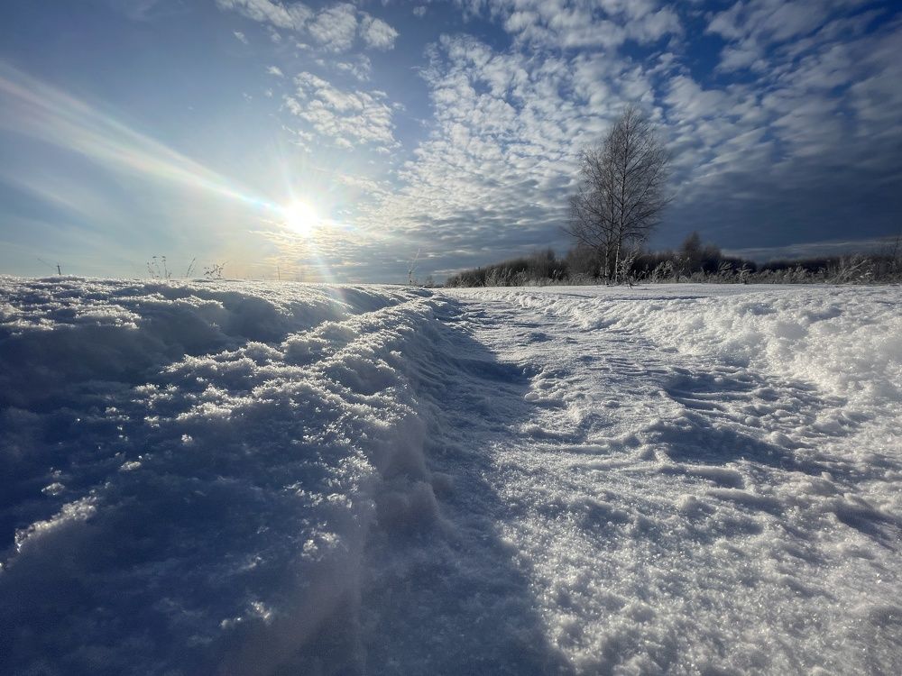 Photograph by Григорий Лыжин