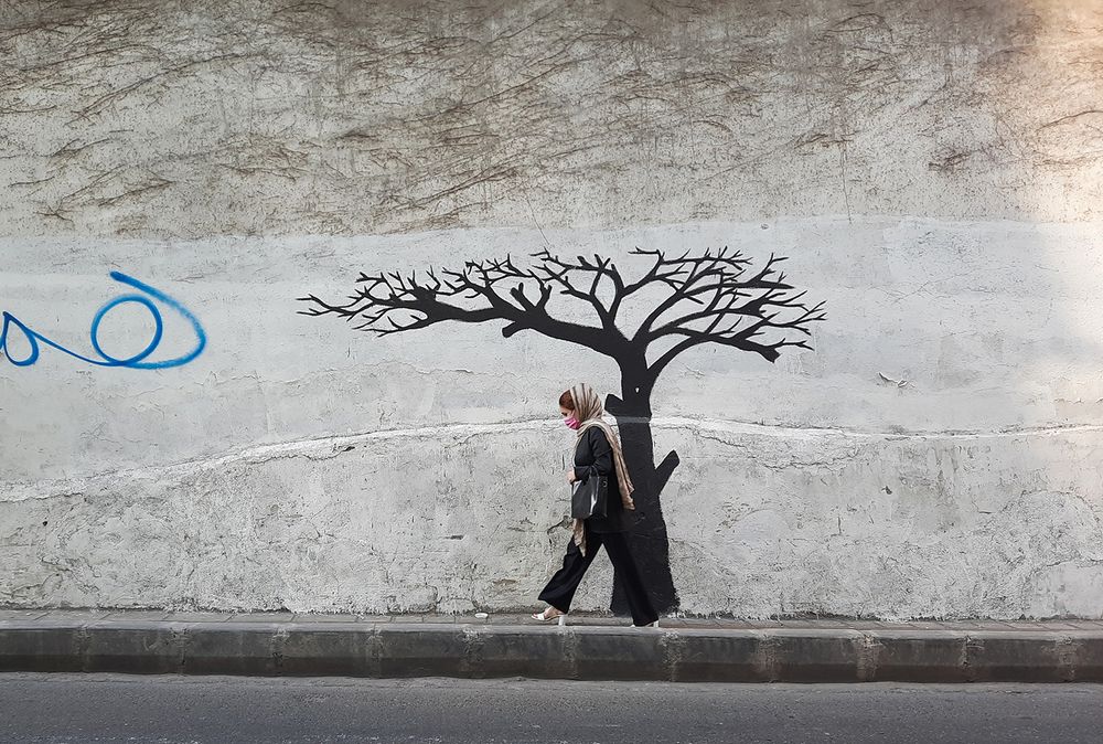 Photograph by Mohammadvahid Nasseri