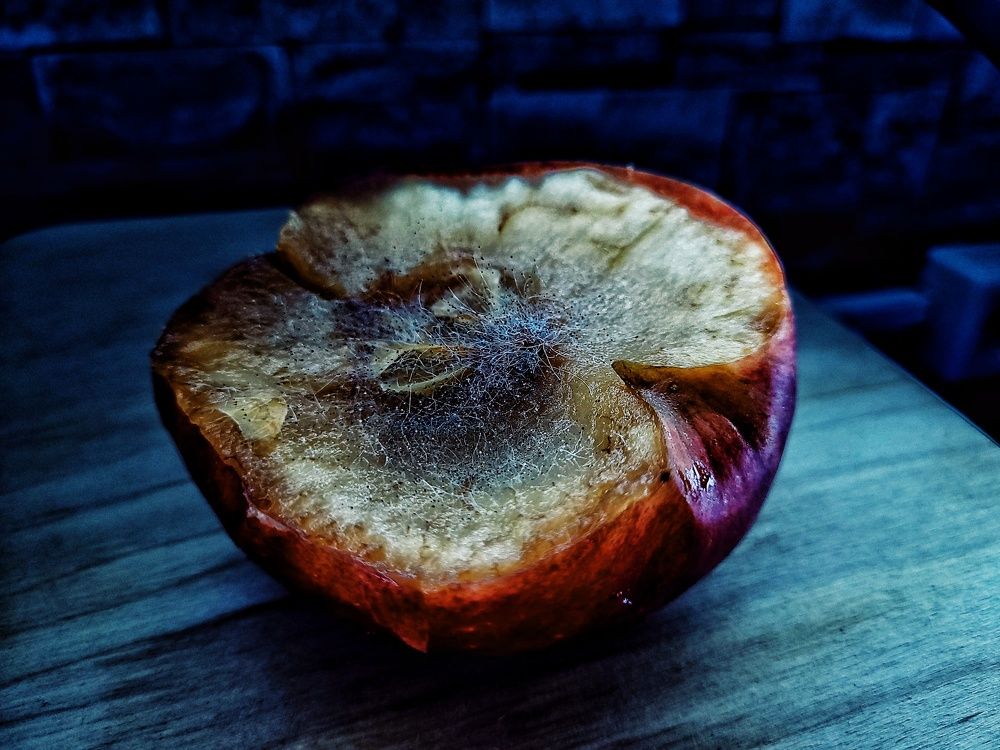 Фотография автора Алёна Кудряшова