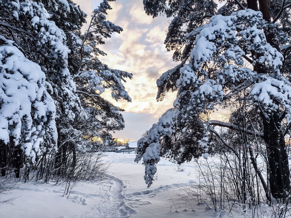 Photograph by Ivars Andrups