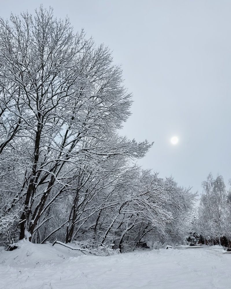 Photograph by Гельфман Галина