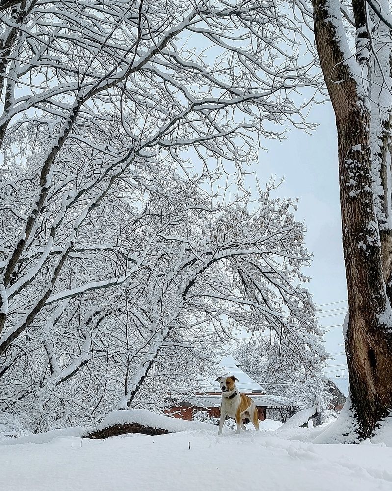 Photograph by Гельфман Галина