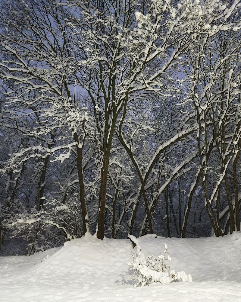 Photograph by Гельфман Галина