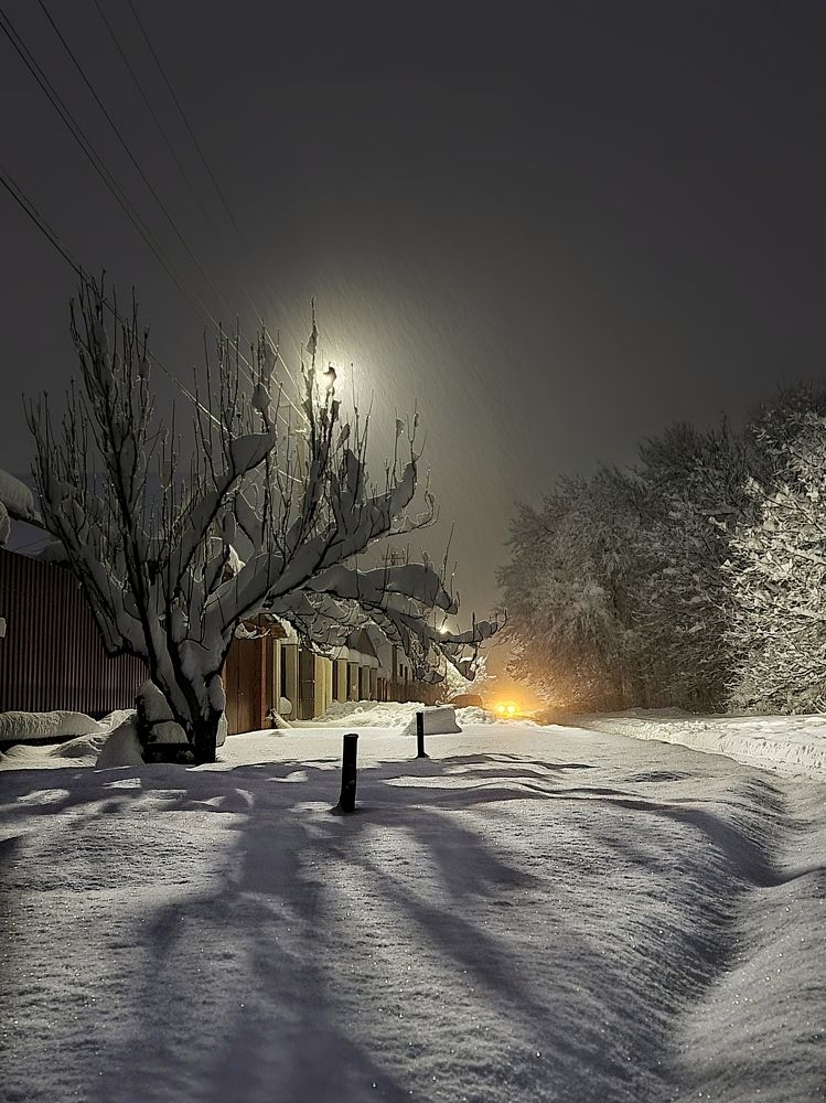 Photograph by Гельфман Галина