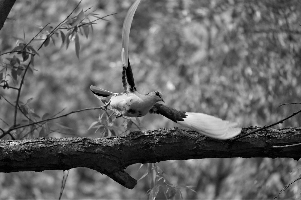 Фотография автора IRINA FILIPPOVA