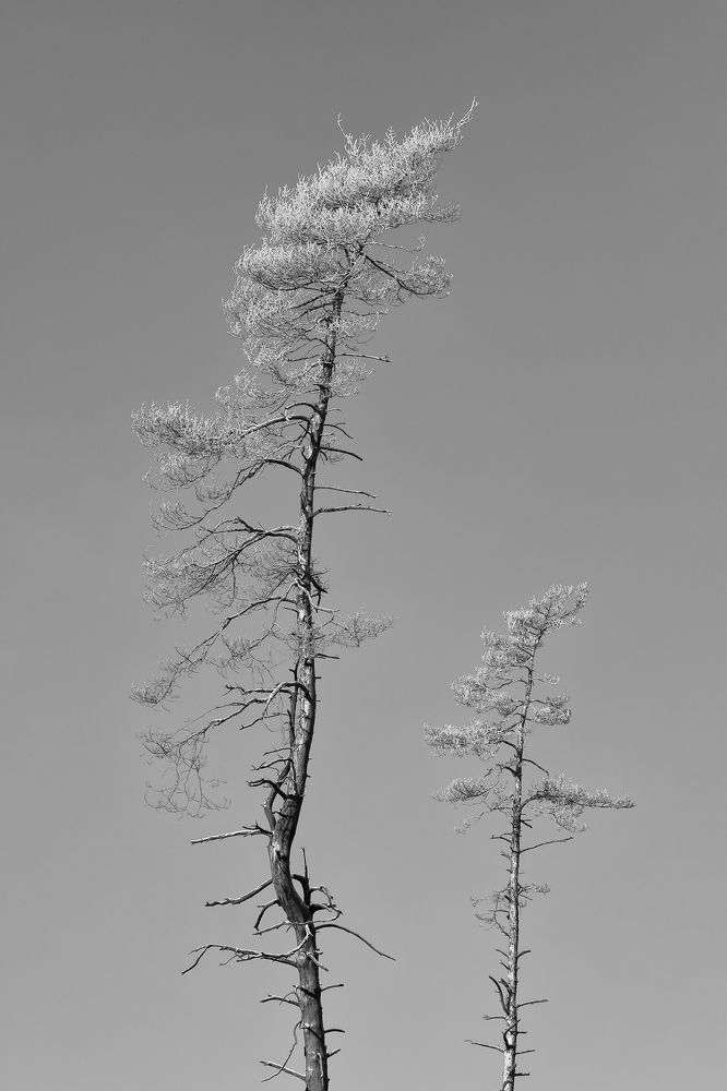 Photograph by Пономарев Илья