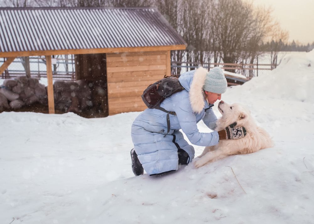 Photograph by Руслан Вотинцев