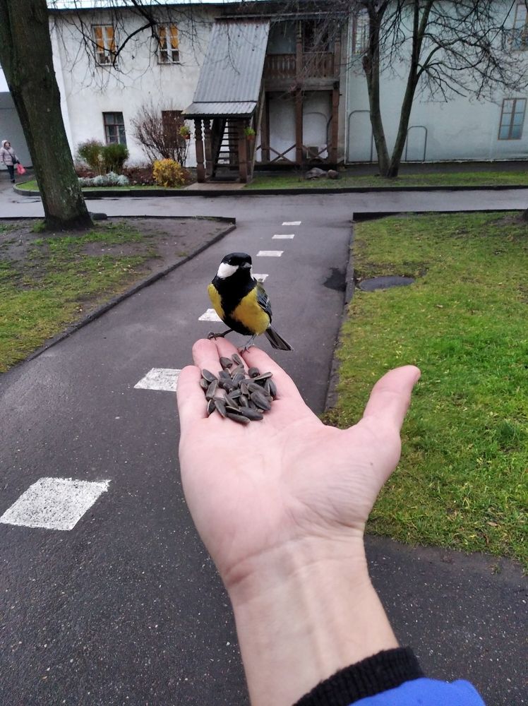 Photograph by Анна Виноградова