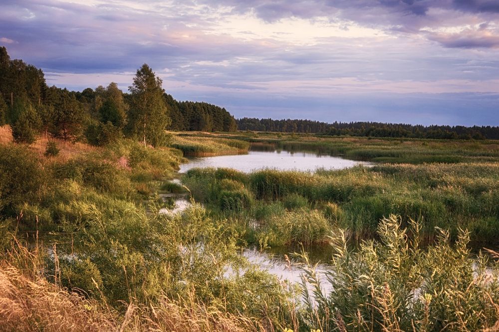 Фотография автора Юлия Кранина