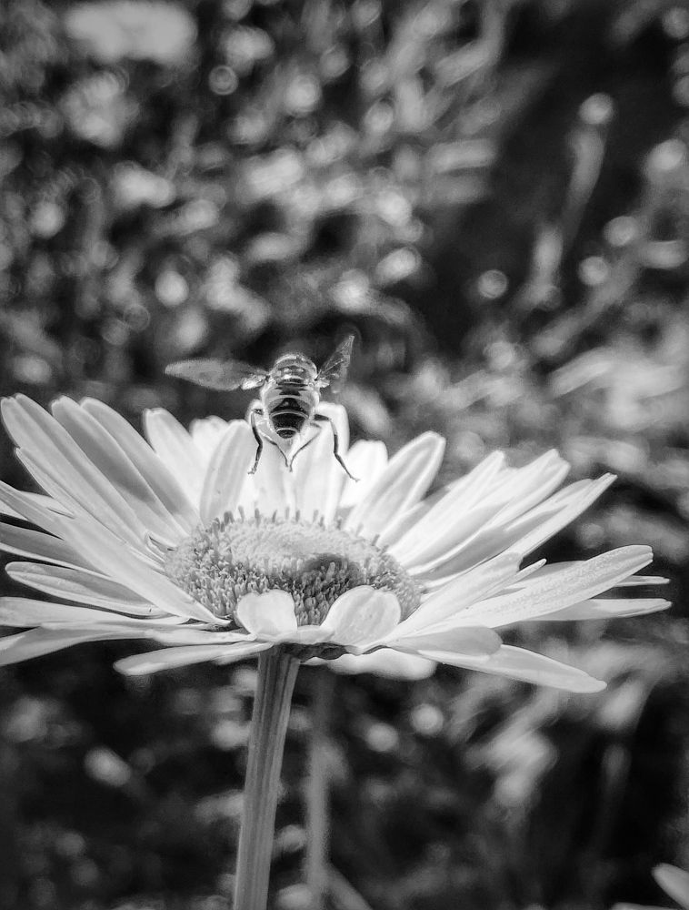 Photograph by Evgenia Privalova