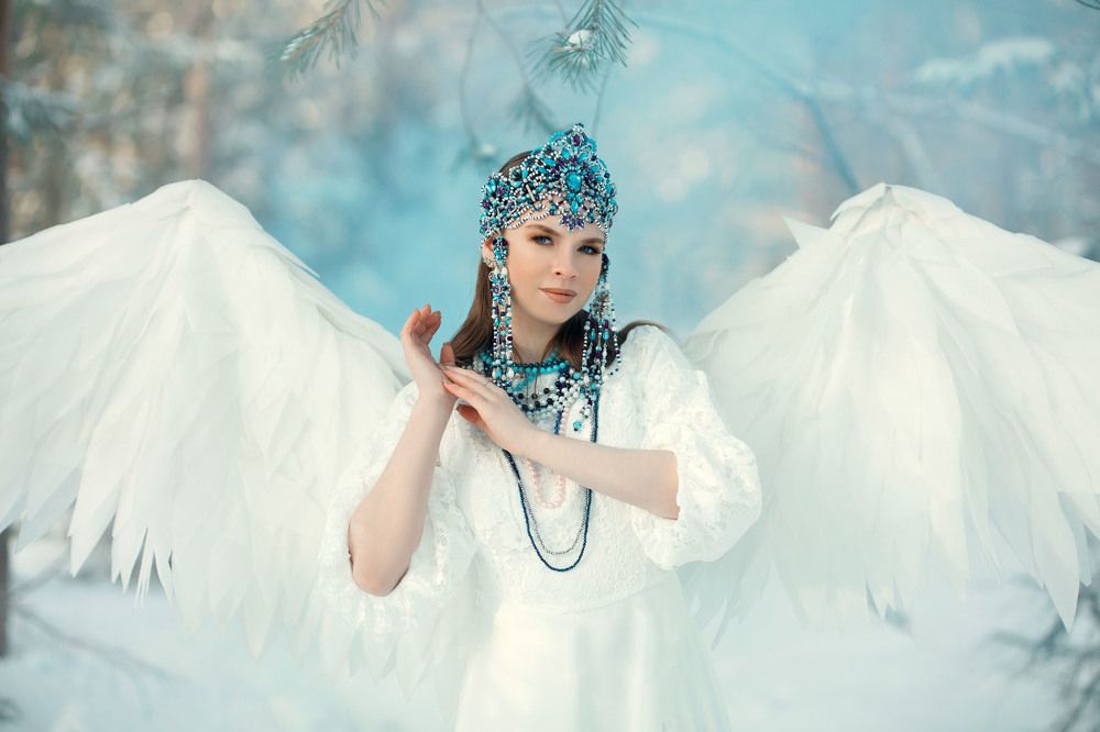 Снежная птица