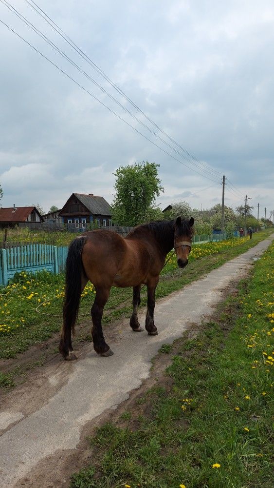 Photograph by ЭЛЬМИРА  ИСМАИЛОВА