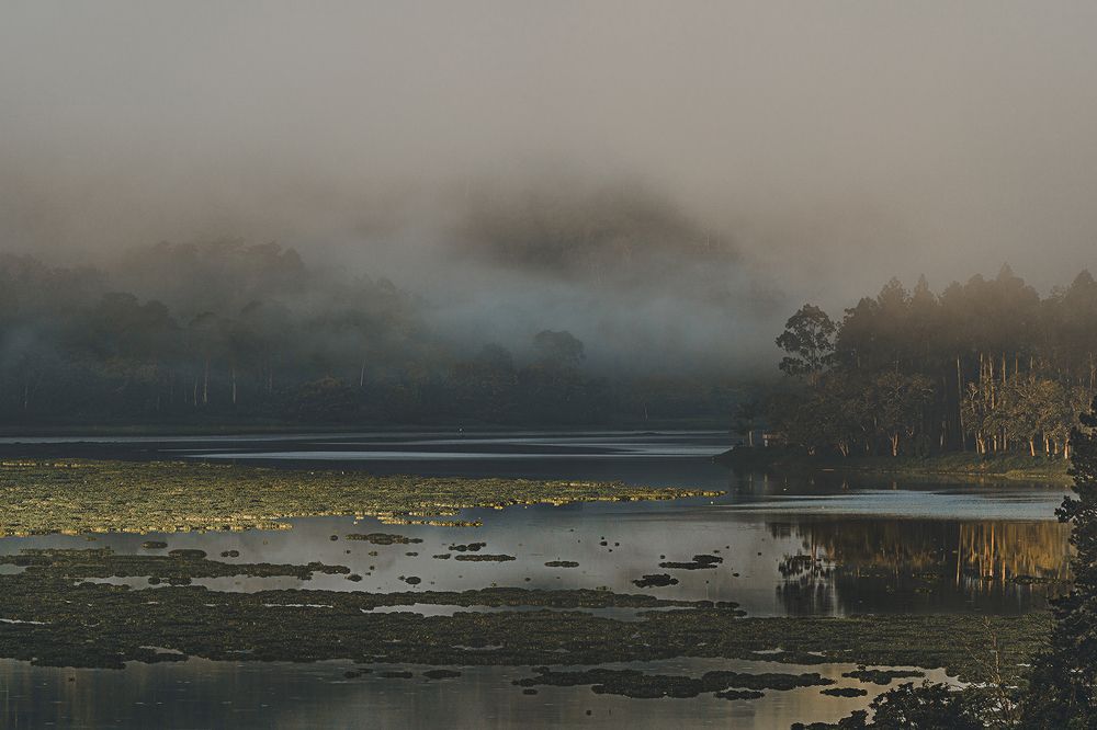 Photograph by Jose Vega