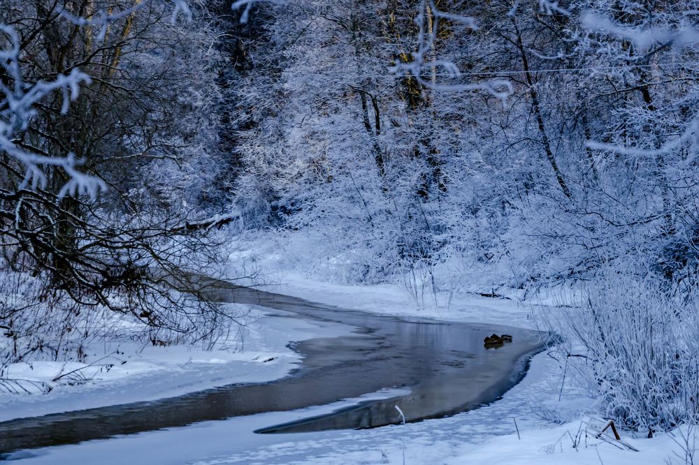 Photograph by Ольга Заповедная