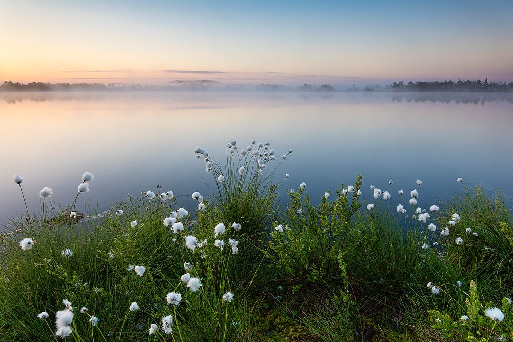 Photograph by Александр Абросимов