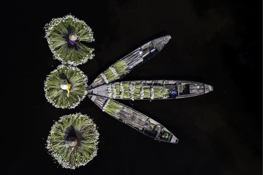 Photograph by GERMAN A. LA ROTTA H.