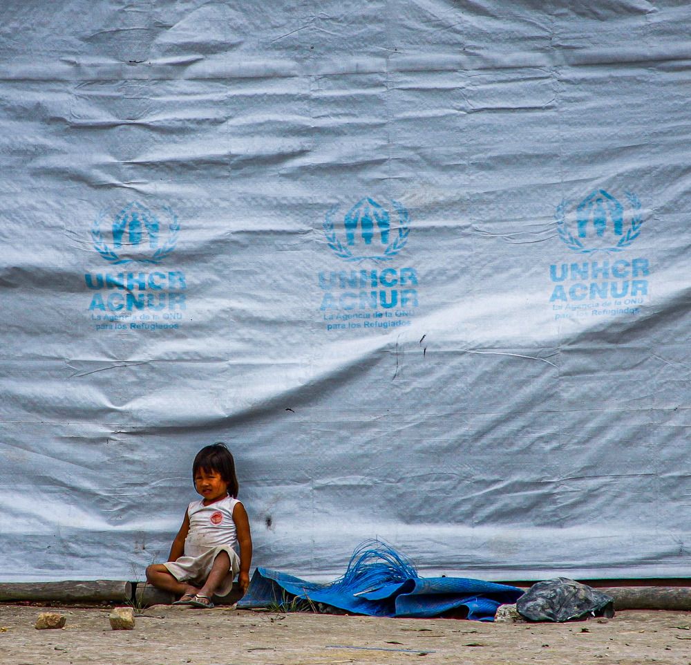 Resiliência na Adversidade: Um Lar Improvisado