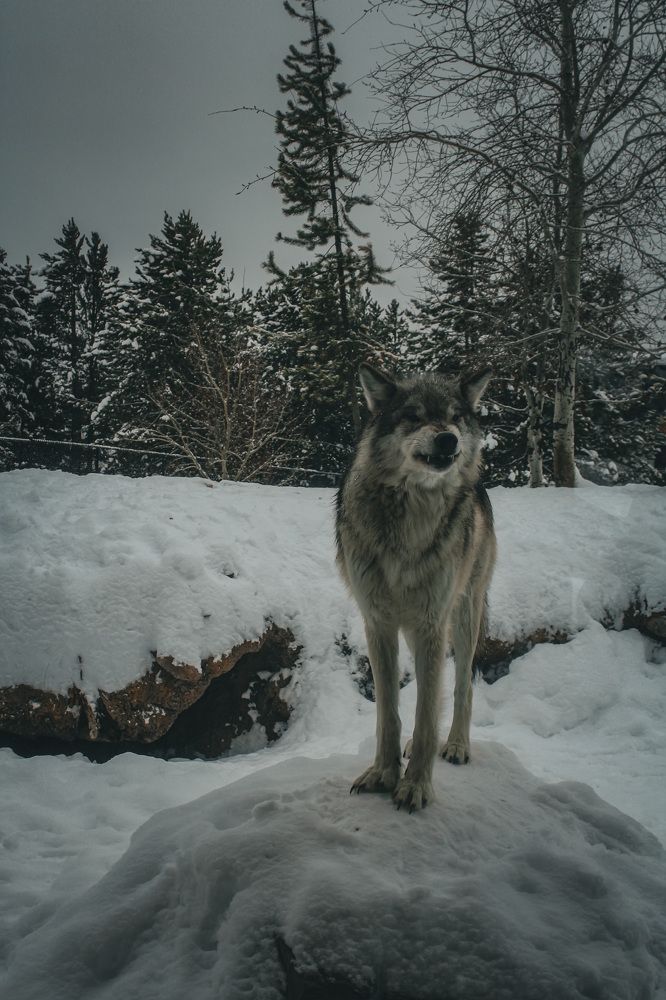 Photograph by Kali Richardson