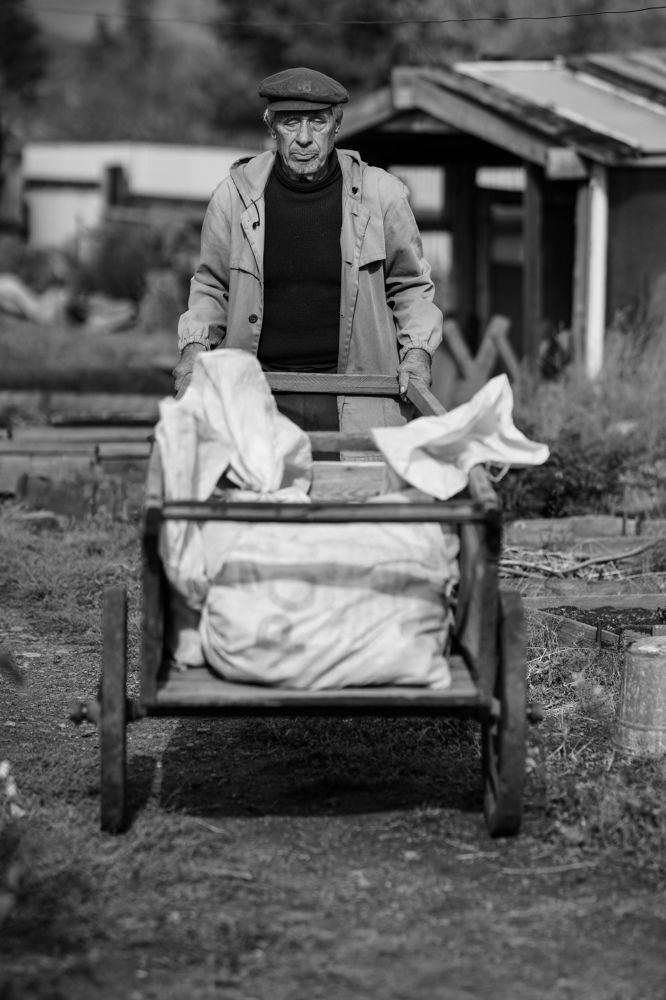 Photograph by Людмила Вставская