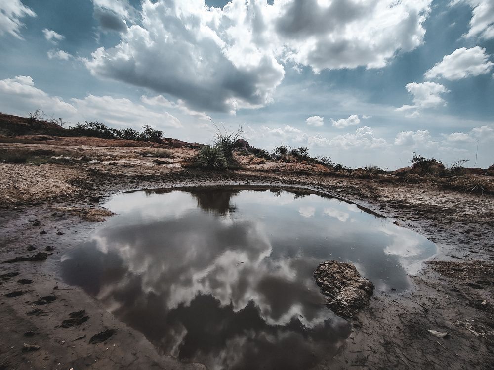 Фотография автора Arul prakash.A