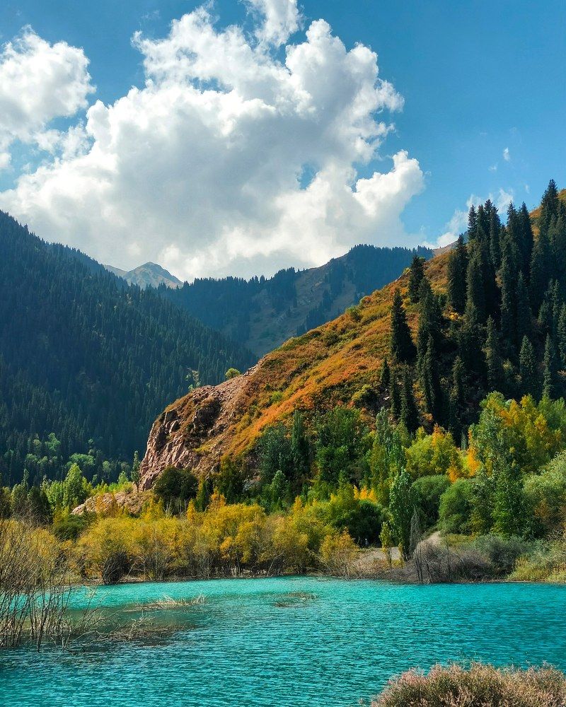 Фотография автора Марина Борисова