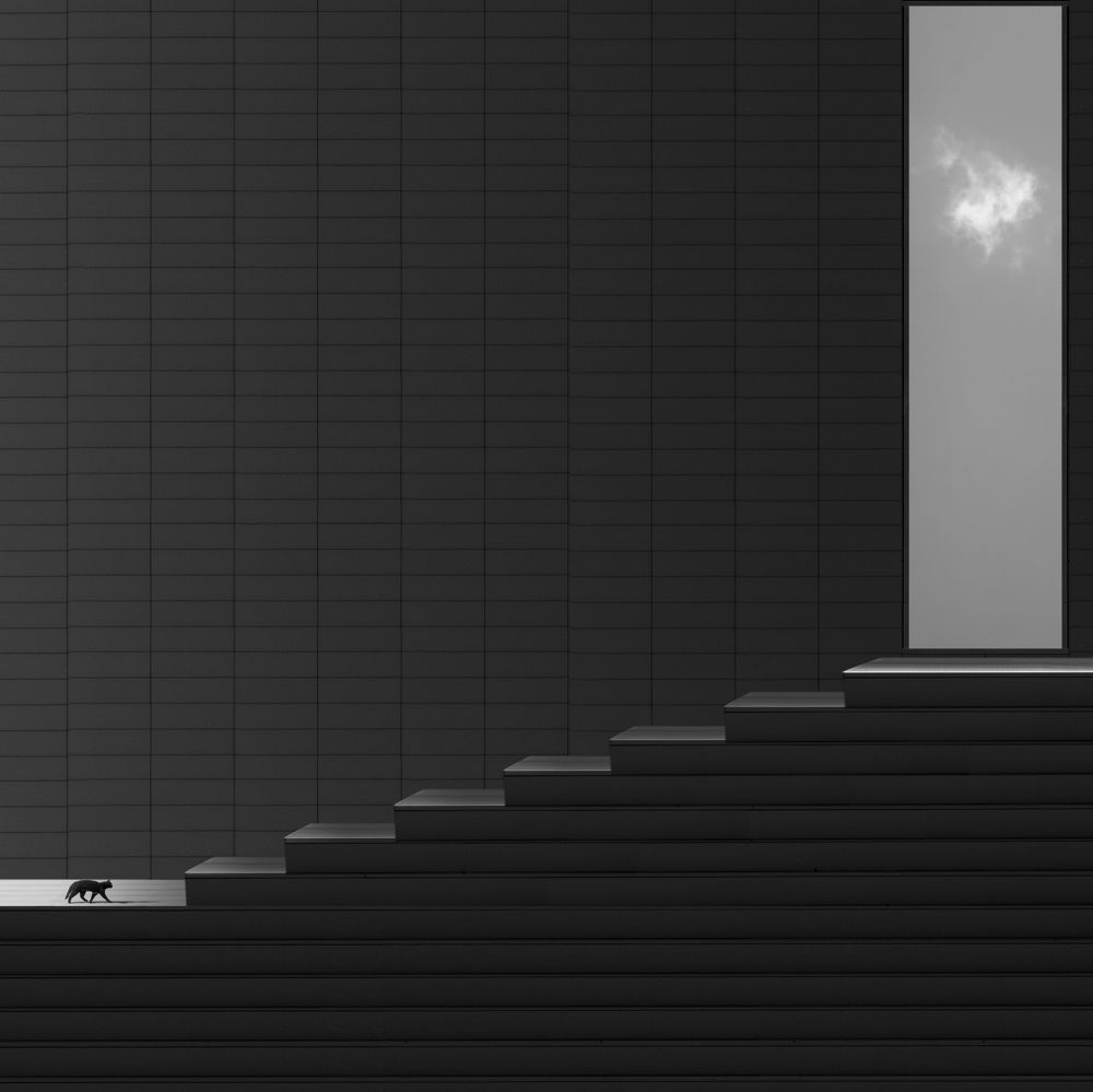 Фотография автора Ali Zolghadri