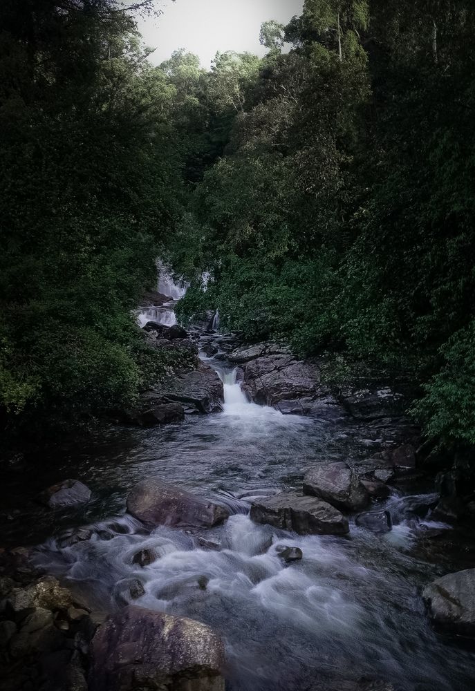 Photograph by Malinda Nipun