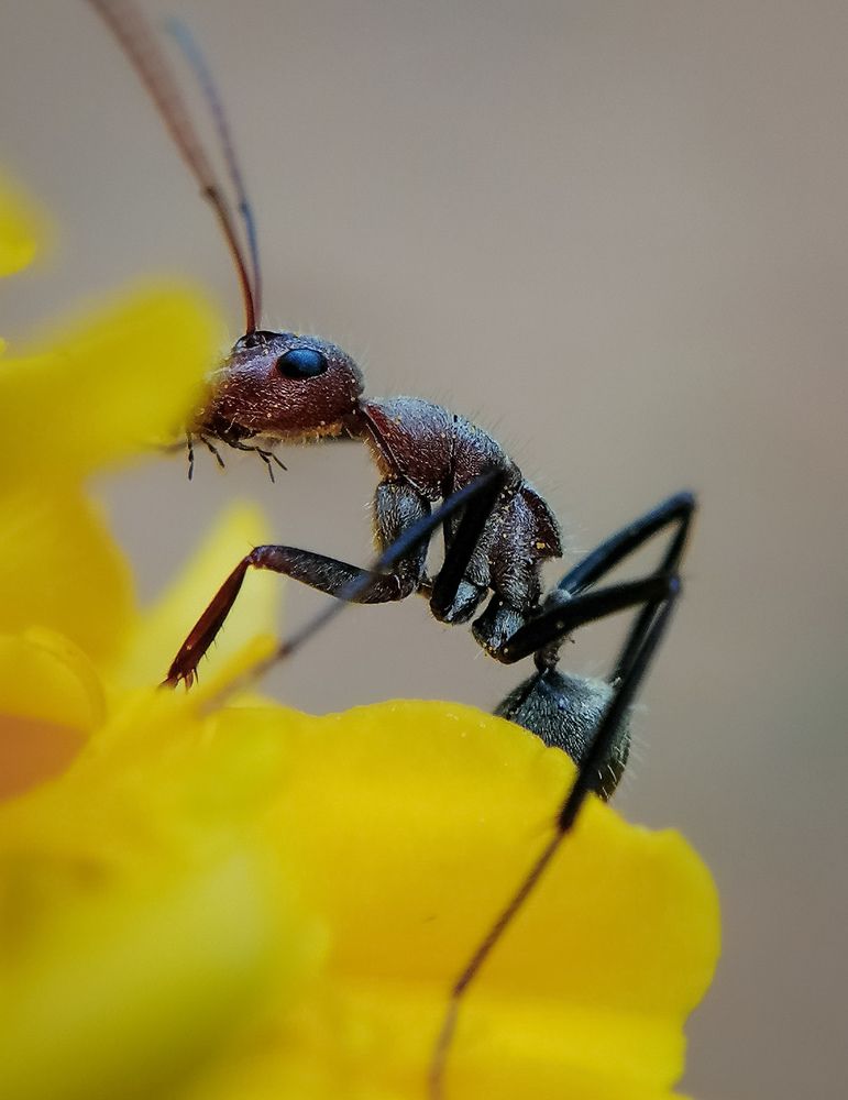 Photograph by Malinda Nipun