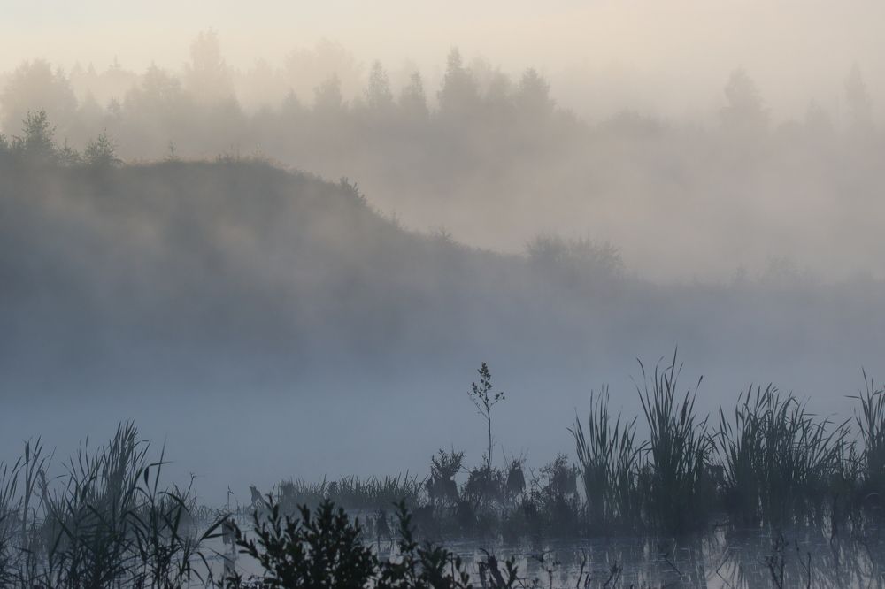 Photograph by Александр Морозов