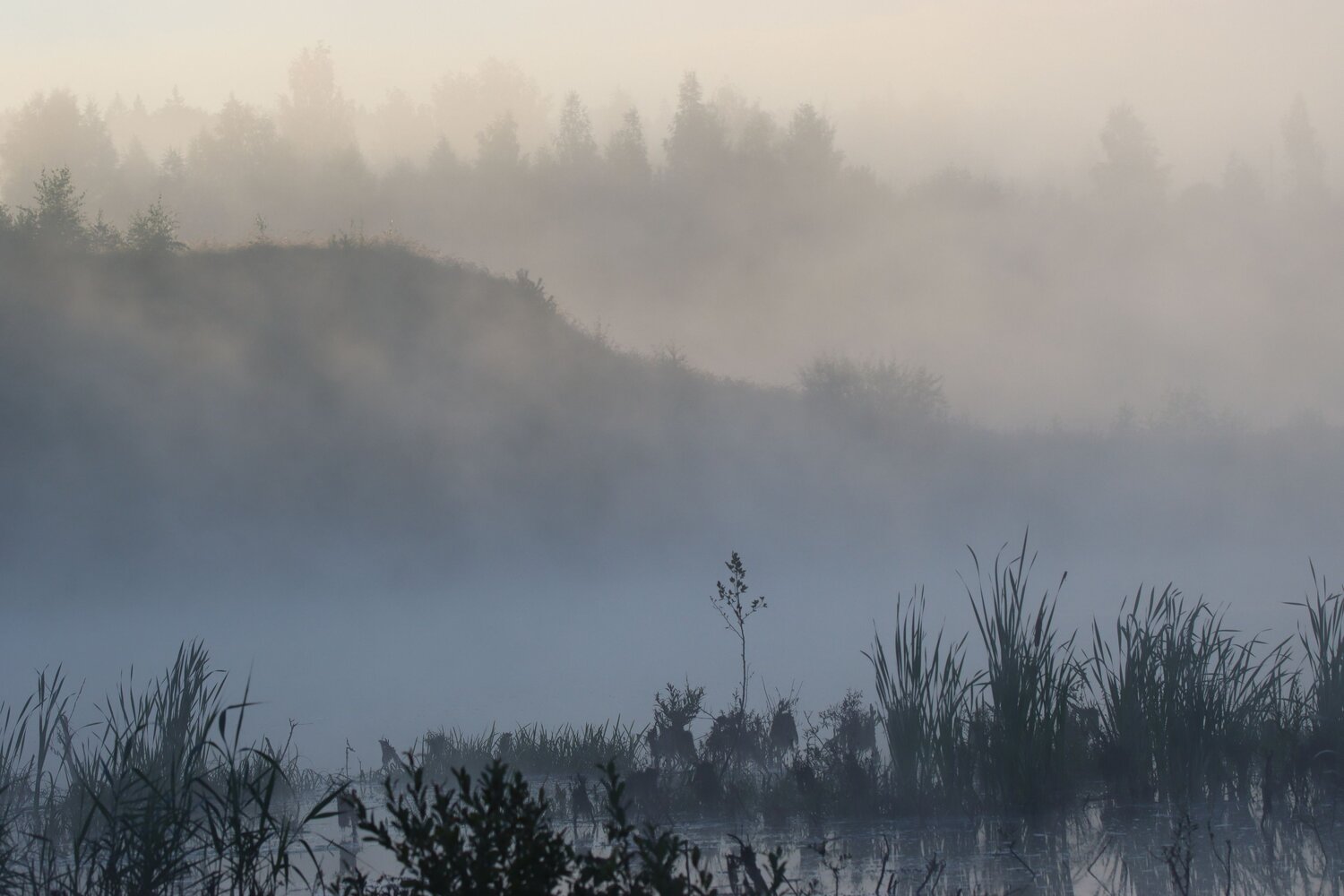 Photo #8631640