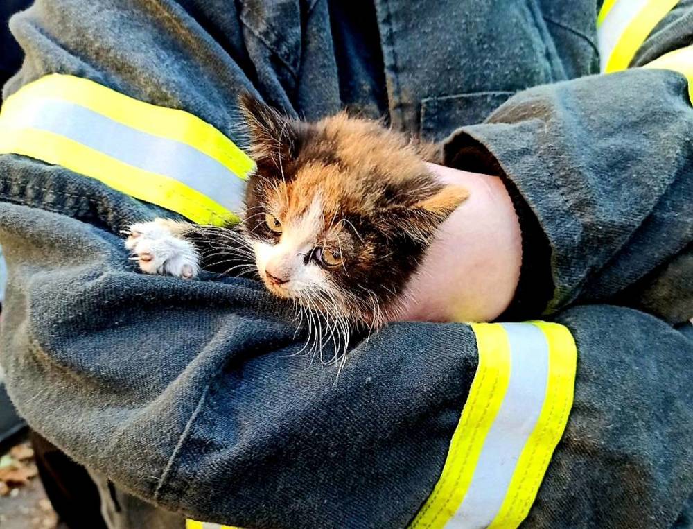 Спасатели за работой