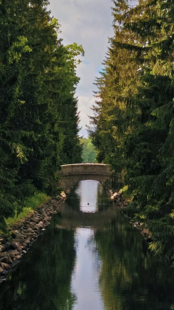 Фотография автора Анна Морозова