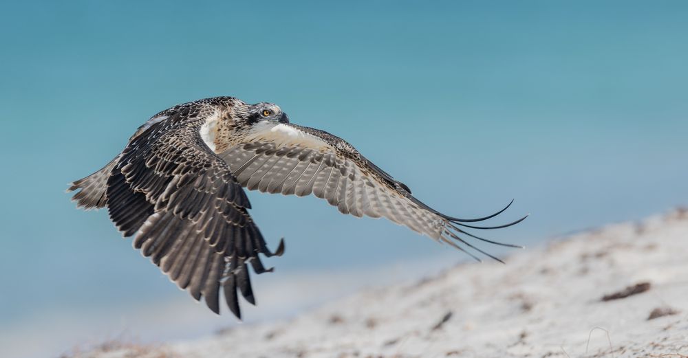 Photograph by Dennis Vagner