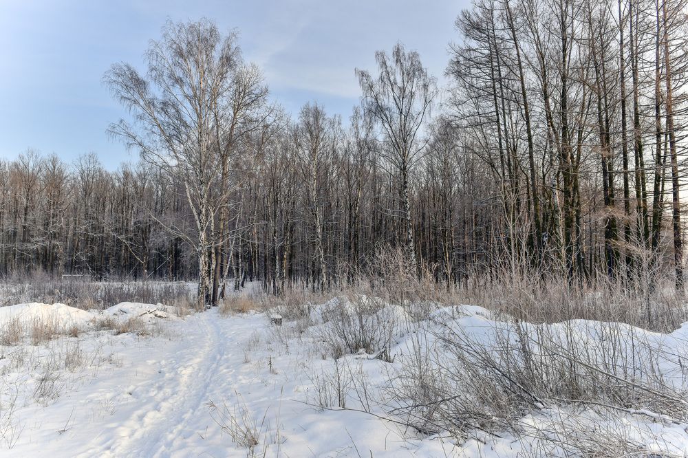 Photograph by Igor Bastrygin