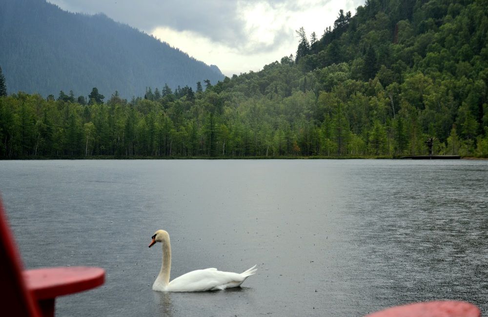 Photograph by Anna Kopchenko