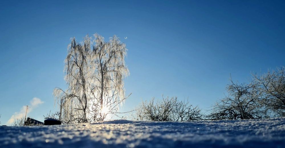 Photograph by Elena Lukashina