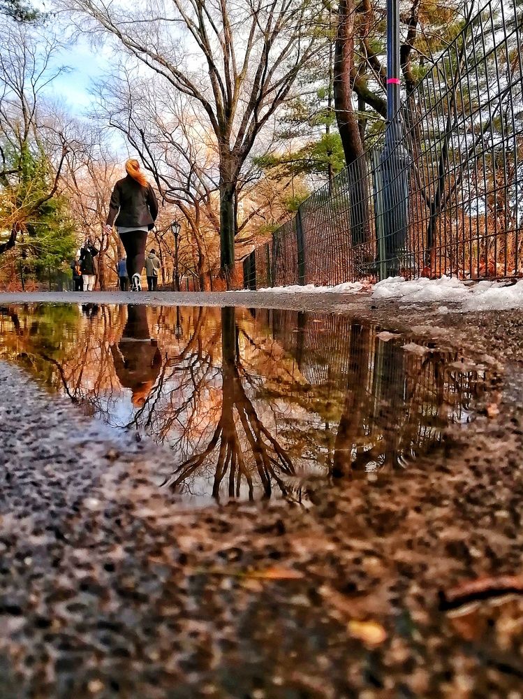 Photograph by Natalia Cea