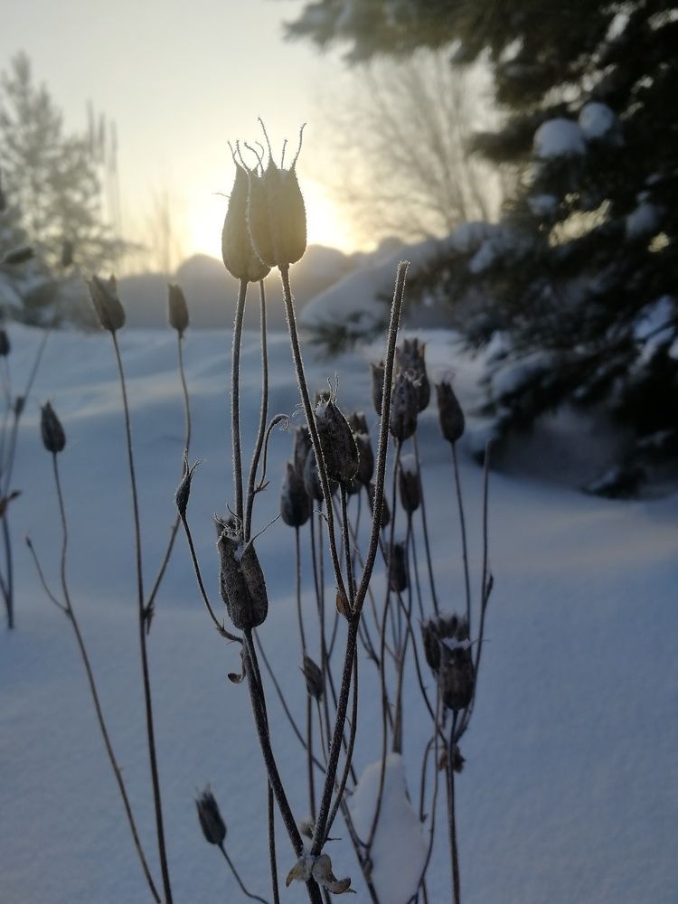 Photograph by Виктория Семенюта