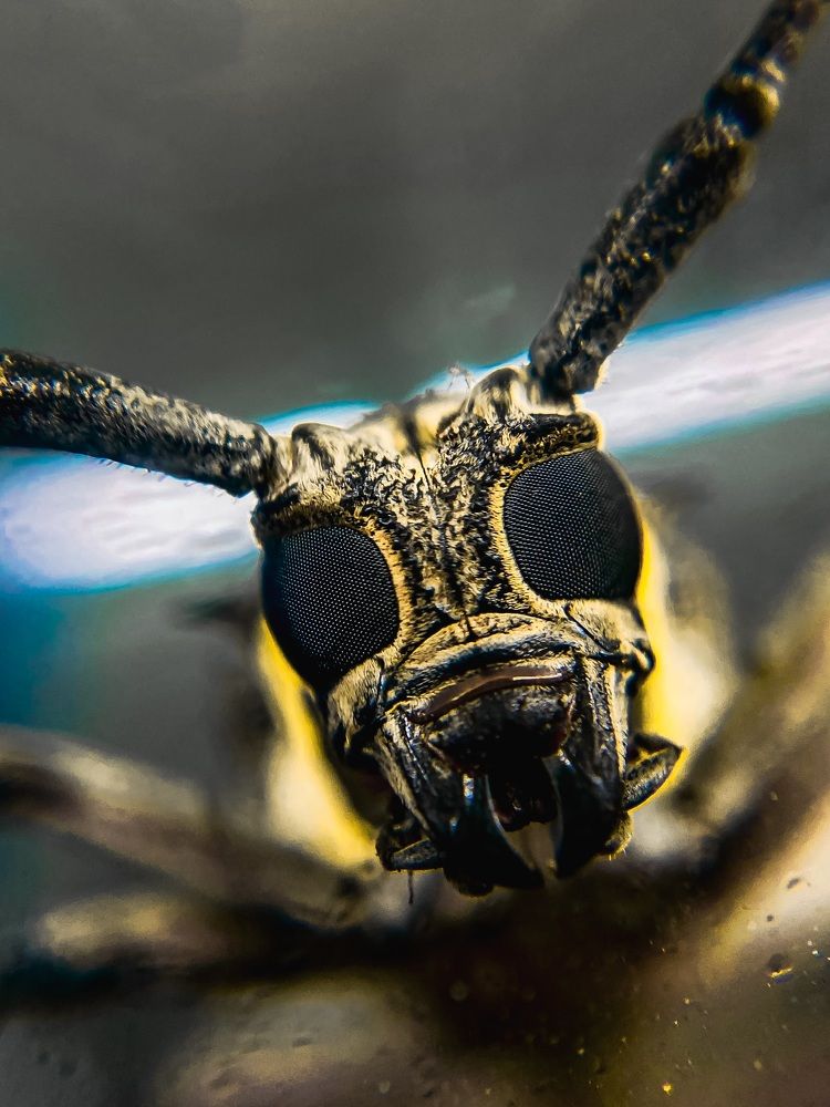 Fear don’t have size