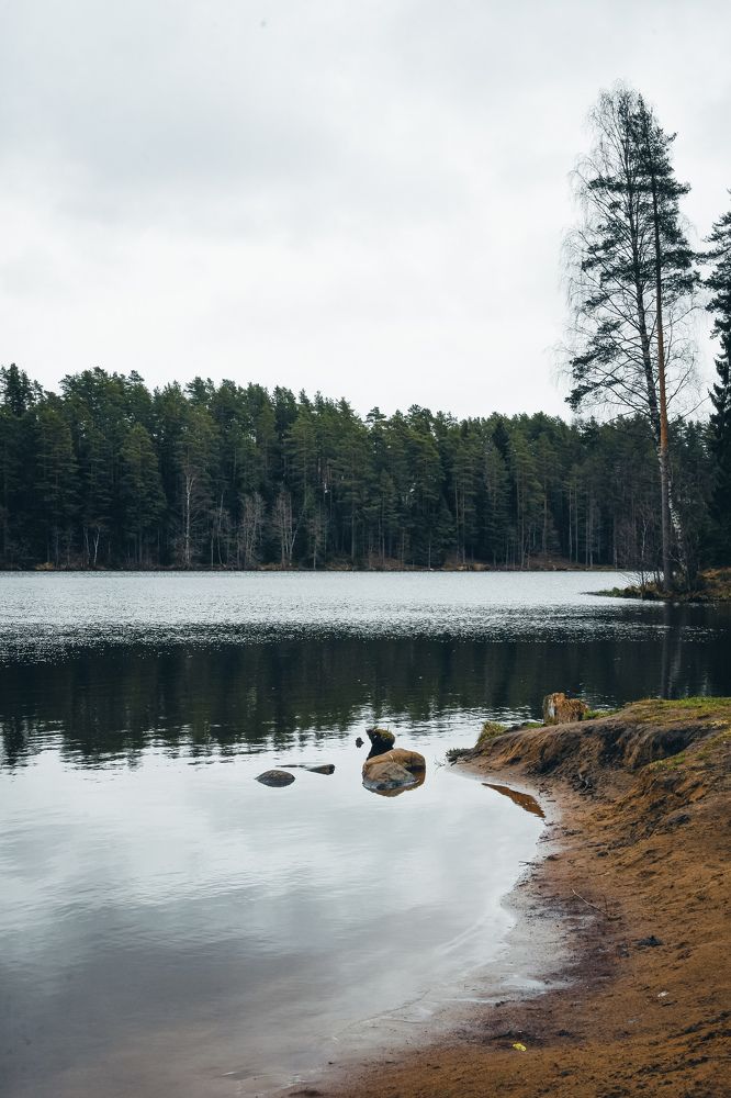 Photograph by Ксения Денисова