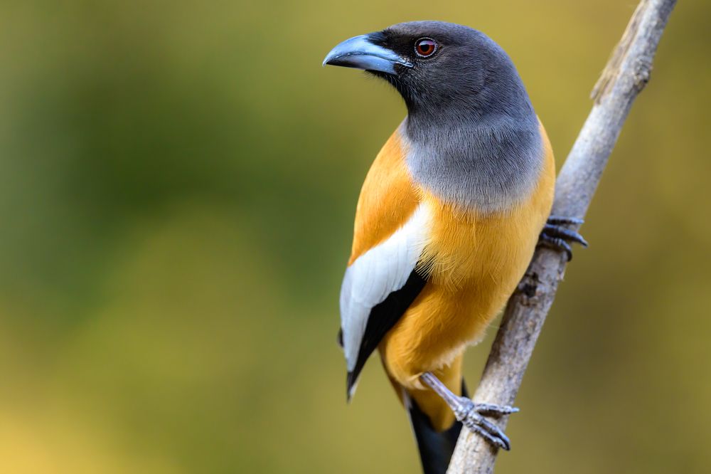 Photograph by Sergey Puponin