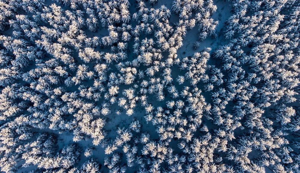 Фотография автора Михаил Кузнецов