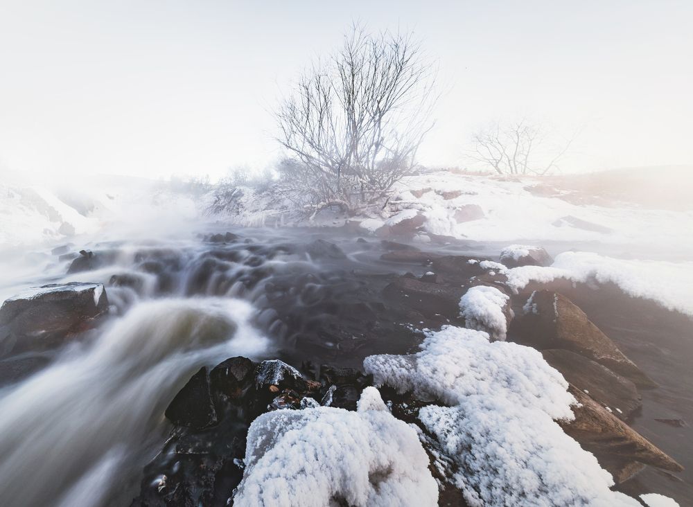 Photograph by Портных Дмитрий