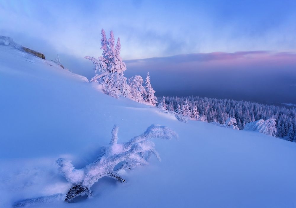 Фотография автора Vyacheslav Lozhkin