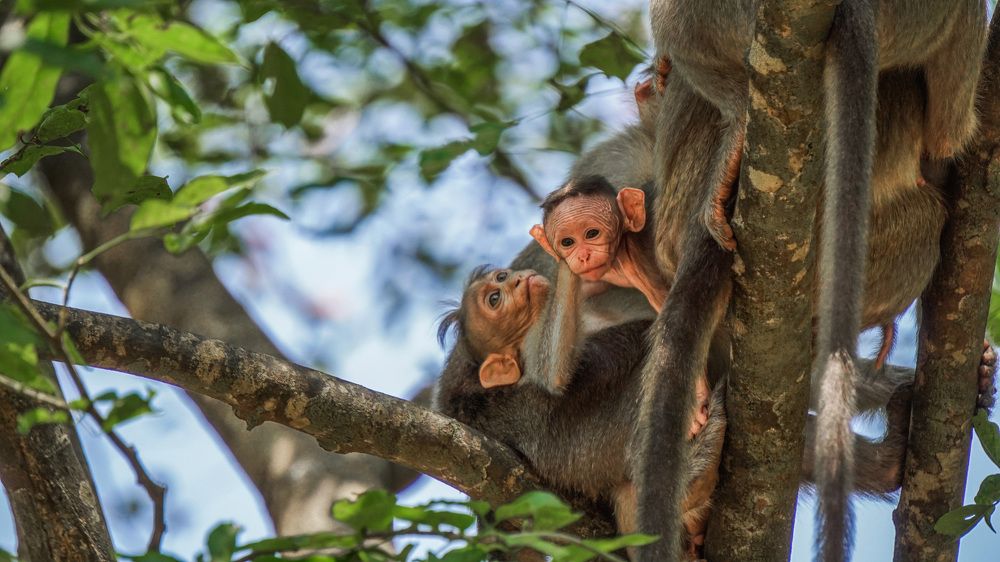 Photograph by AKHIL VU