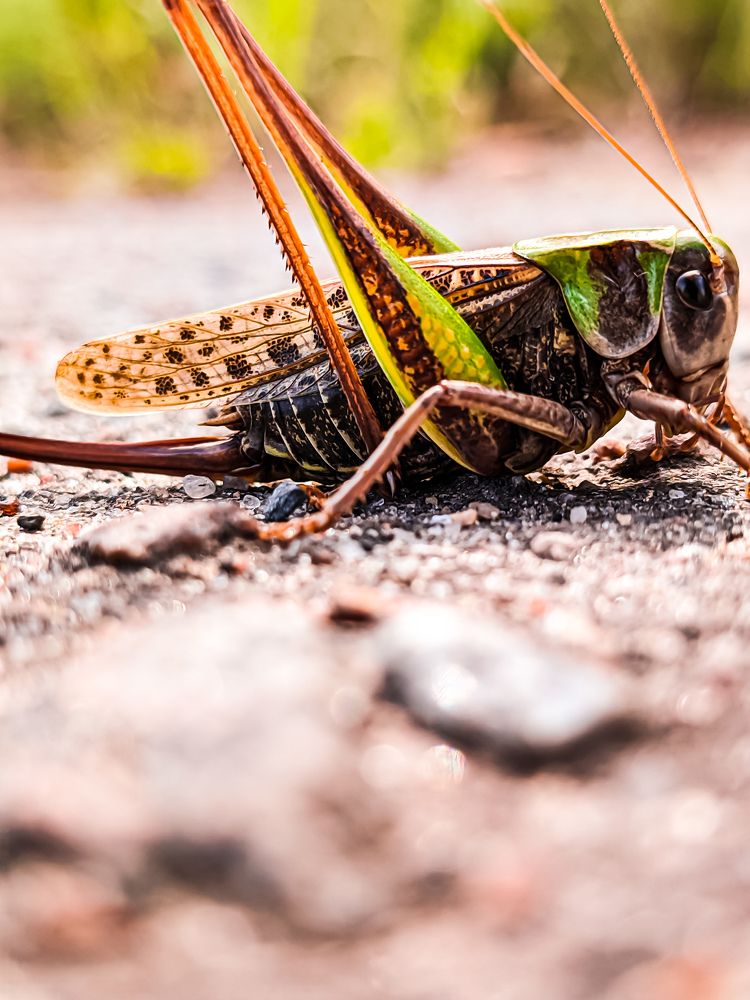 Photograph by Николай Яковлев