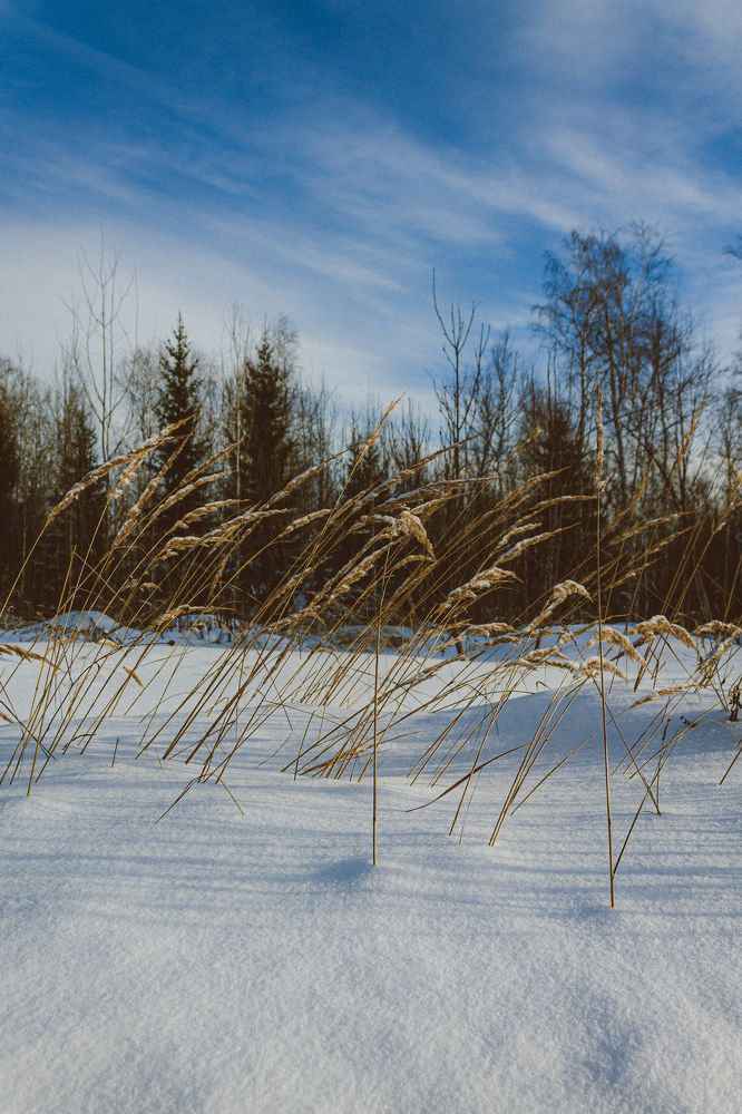Photograph by Зульфия Вакилова