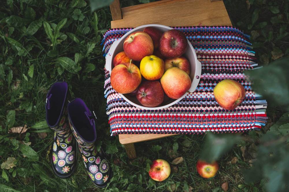 Осенняя зарисовка