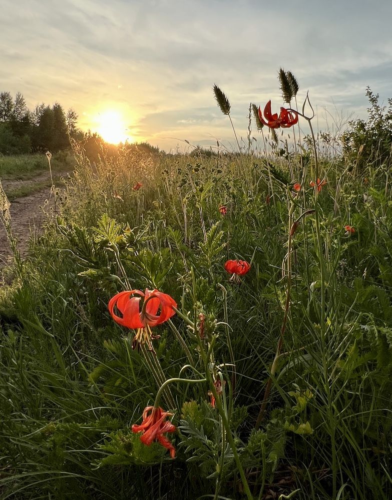 Photograph by Елена Мизина